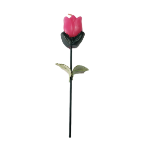 Vela tulipán abierto con tallo
