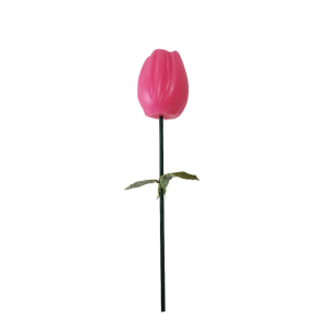 Vela tulipán cerrado con tallo