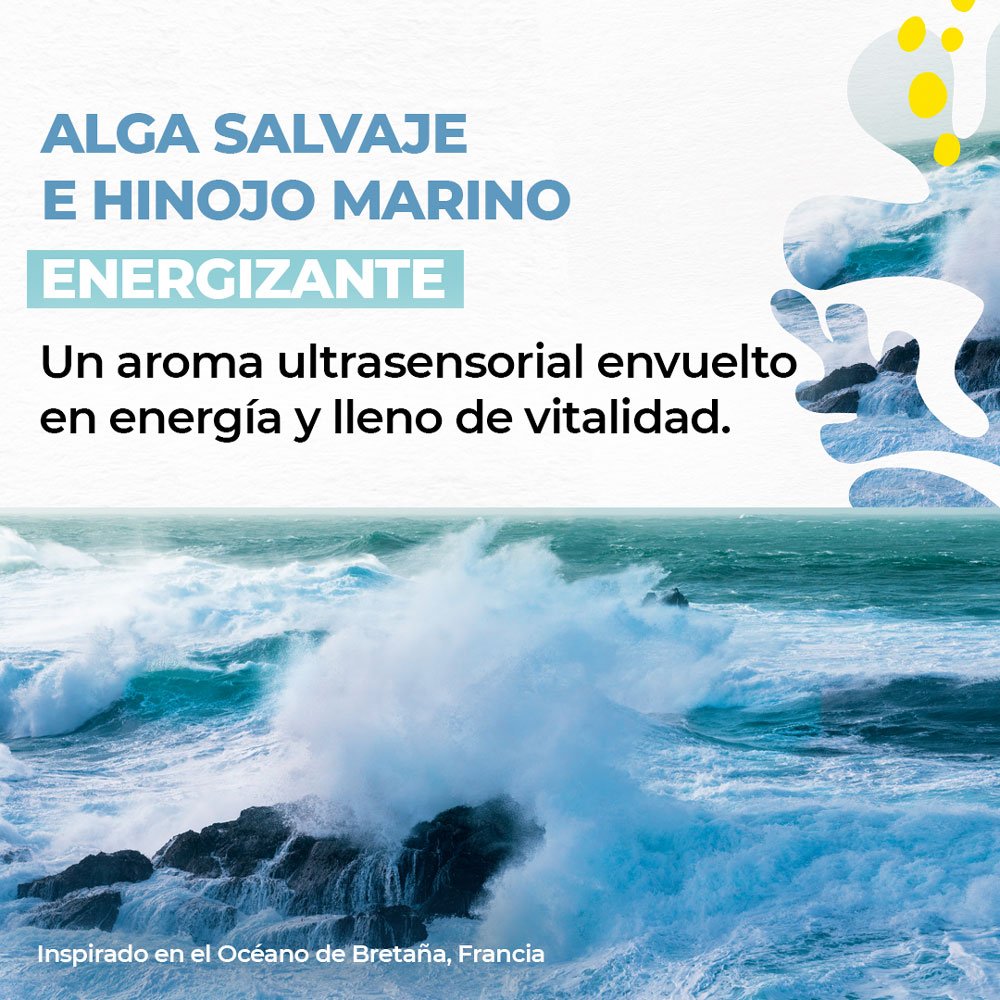 Maxi Gel de Ducha Corporal Alga Salvaje e Hinojo - Imagen 2