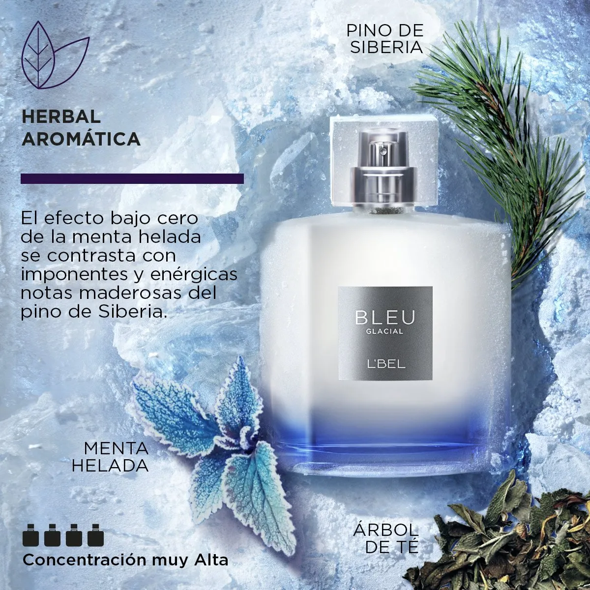 Bleu Glacial Perfume para Hombre - Imagen 2
